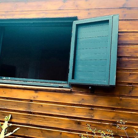 Tiny House Les Cactus - Bungalow St Gilles Les Hauts Saint-Paul Exterior photo